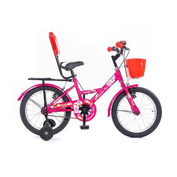 Duranta Steel 1-Spd Camellia 16 Purple color