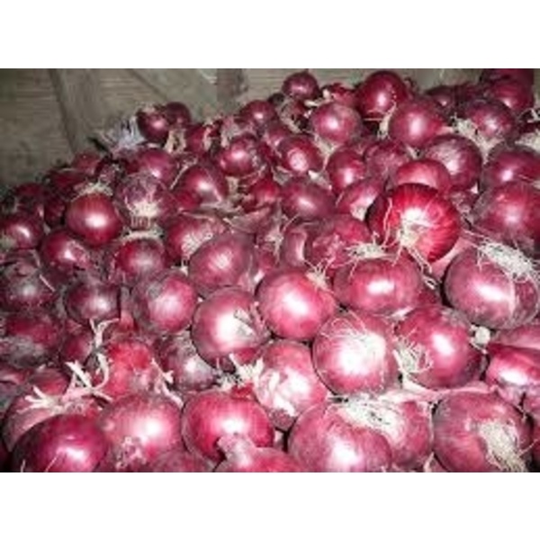 Barmis fresh Onion(বার্মিস পিয়াজ)