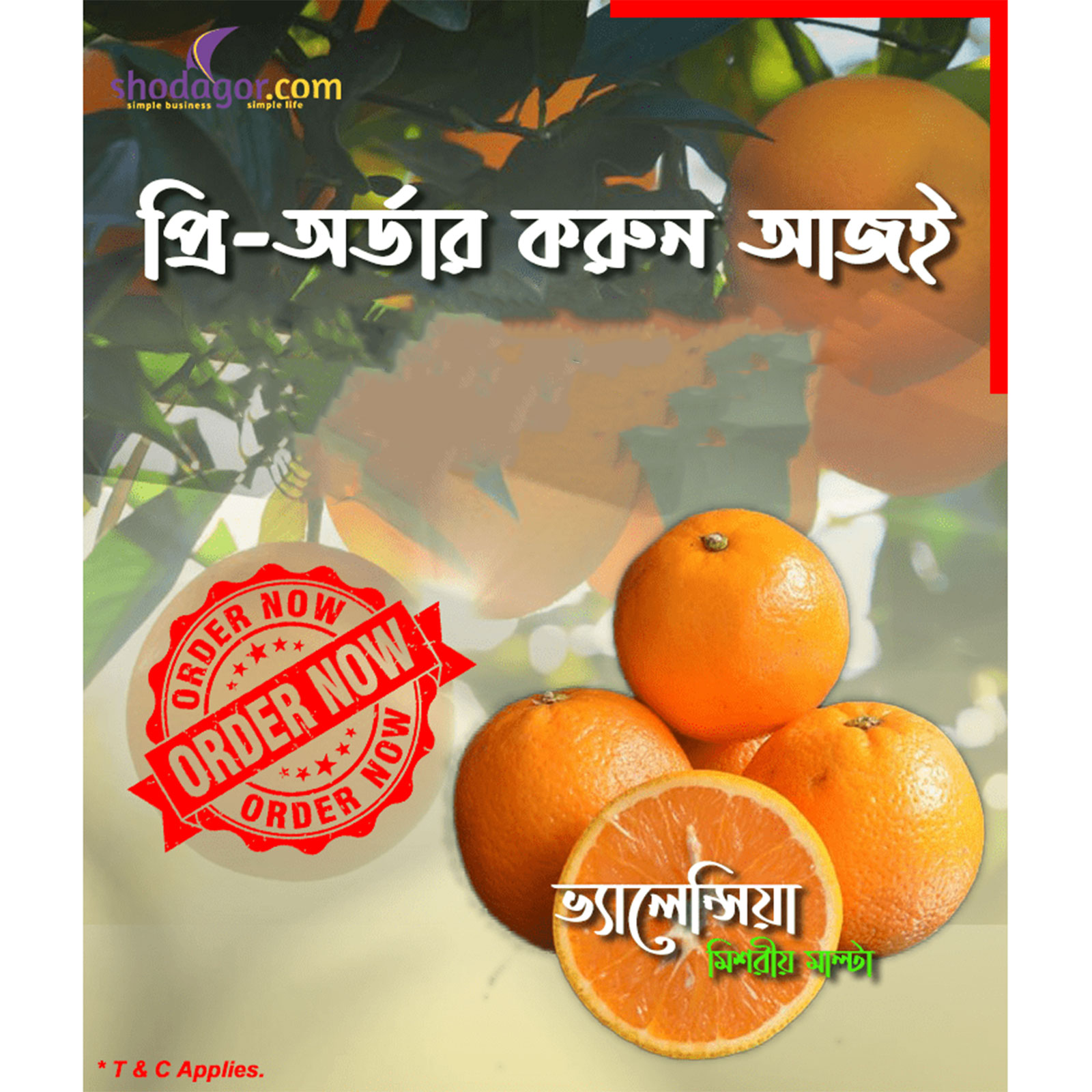 100% Natural Sweet Fresh Valencia Orange (Malta) From Egypt, Wholesale Price