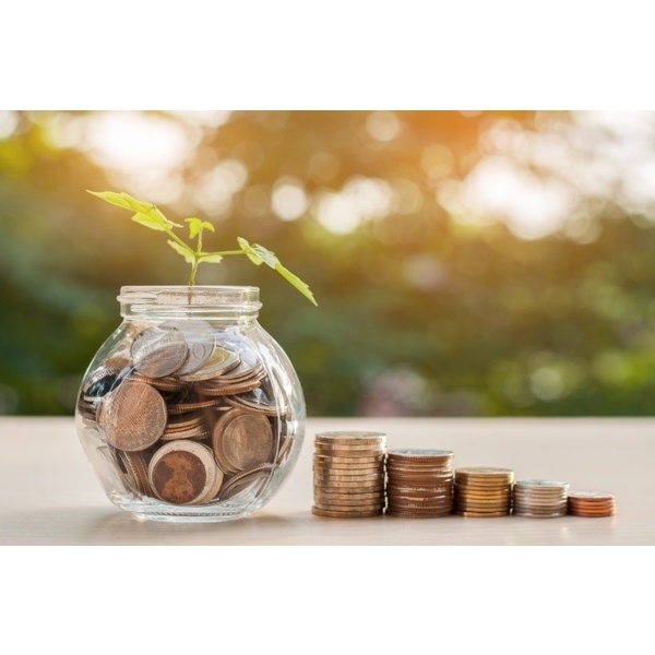 Cash/Fund Management