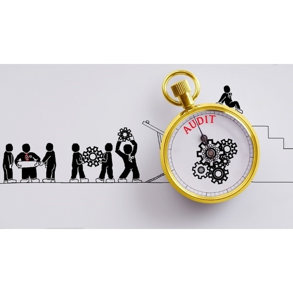 External Audit Preparation Service