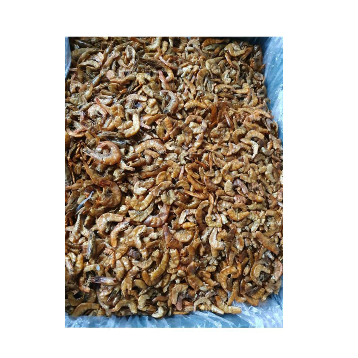Dried Chaka Chingri (White) - High quality and fresh for Export
