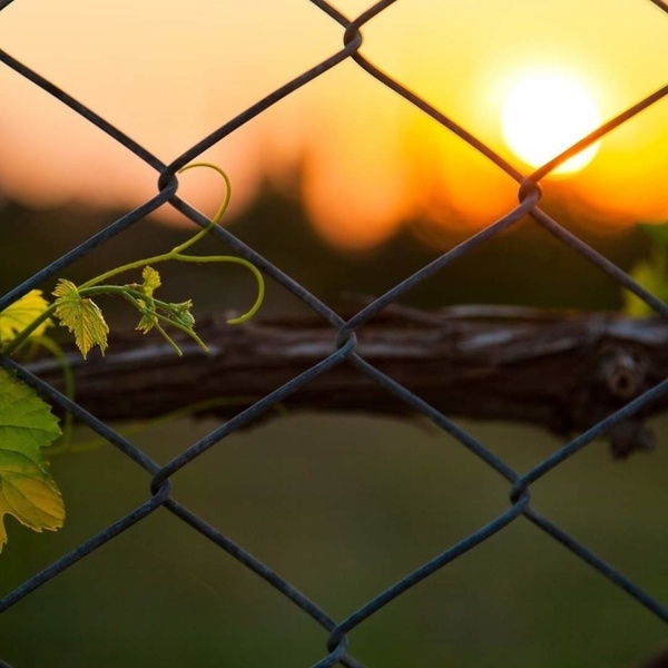 12 no. GI wire net 2.5 inch Gap