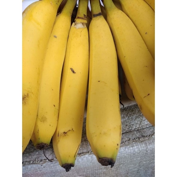 Deshi Full Fresh and Chemical free Banana(সাগর কলা)