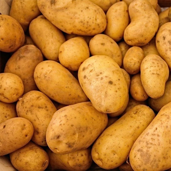Diamant Potato (84 kg) Sack