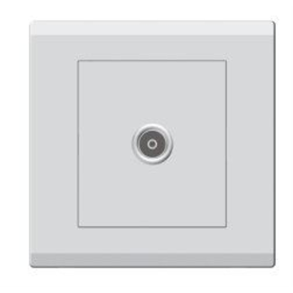 European Standard ART DNA E-3 Series Dish/ TV socket