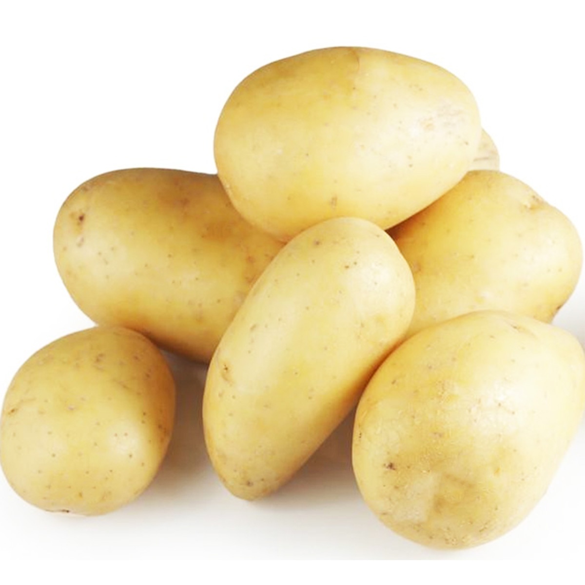 Export Quality Fresh GRANOLA POTATO