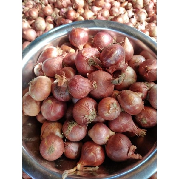 Taherpuri Local Fresh Onion(দেশী পিয়াজ)
