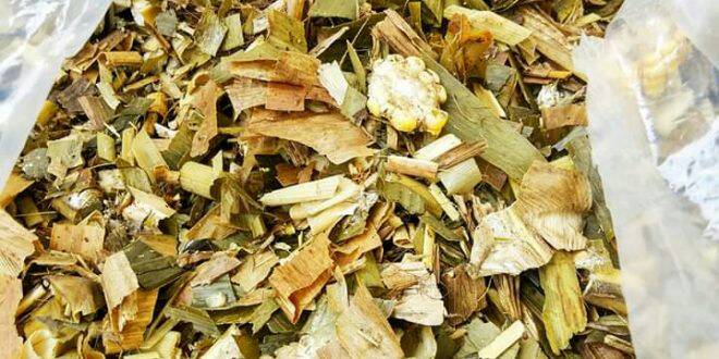 ভুট্টার সাইলেজ