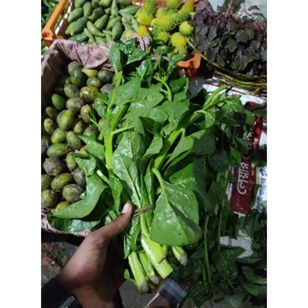 Full Fresh and Chemical Free Malabar spinach(পুঁই শাক)