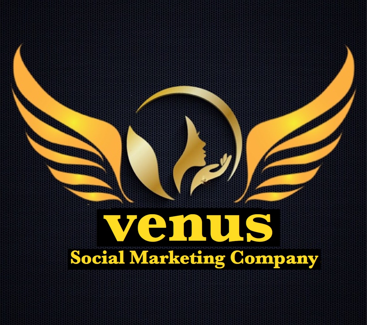 Venus Social Marketing Company