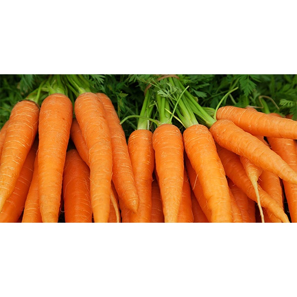 Fresh Deshi Carrot - 1 Kg