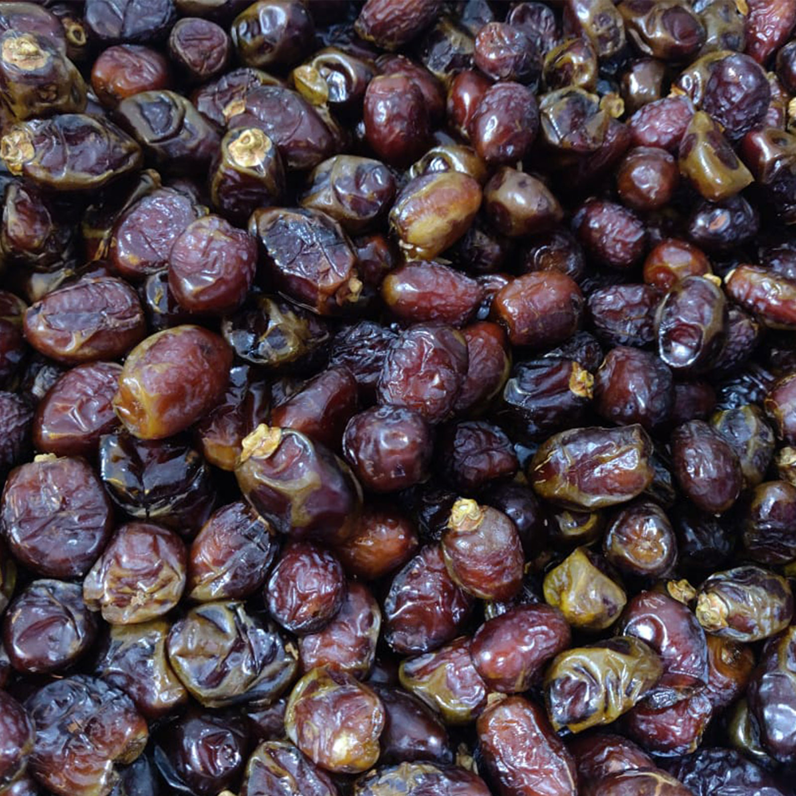 Dabaas Dates( Khejur) Premium Quality for wholesale Price