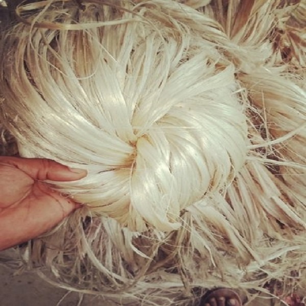 High Quality High Strength Silver Raw Jute Fiber