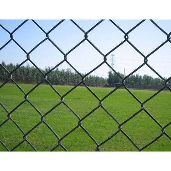 Best Quality Chain link GI Fencing Net 14/1.5"