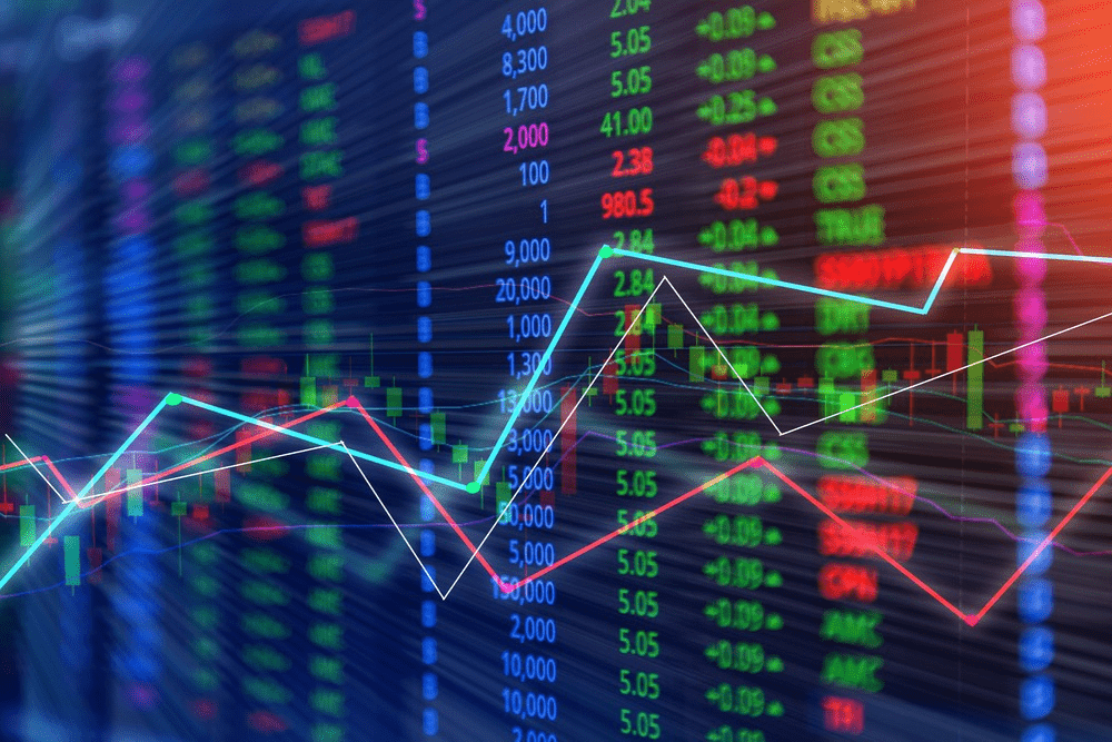 Initial Public Offering (IPO) Processing Service in Share Market