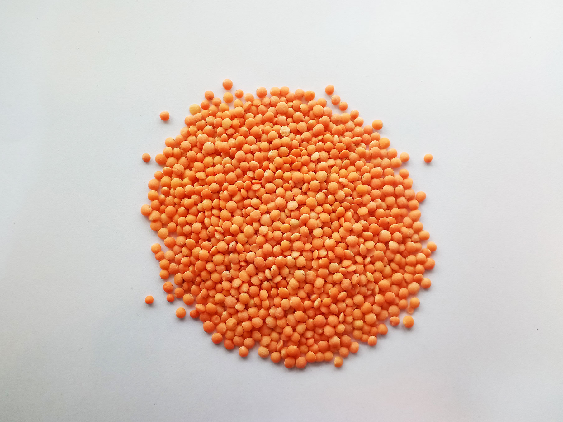 Original Desi Red Lentil Dust-free and fully fresh (দেশি মসুর ডাল )