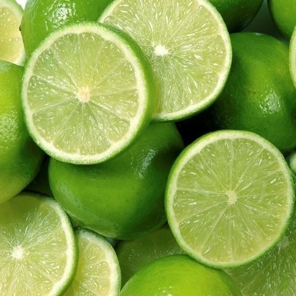 Organic and fresh Seedless Lemon for wholesale