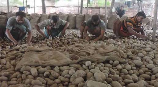 Tangail whole seller