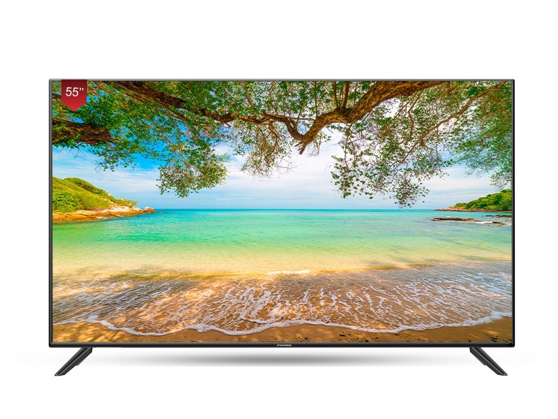 Jamuna Led Tv 55MG06 (Smart)