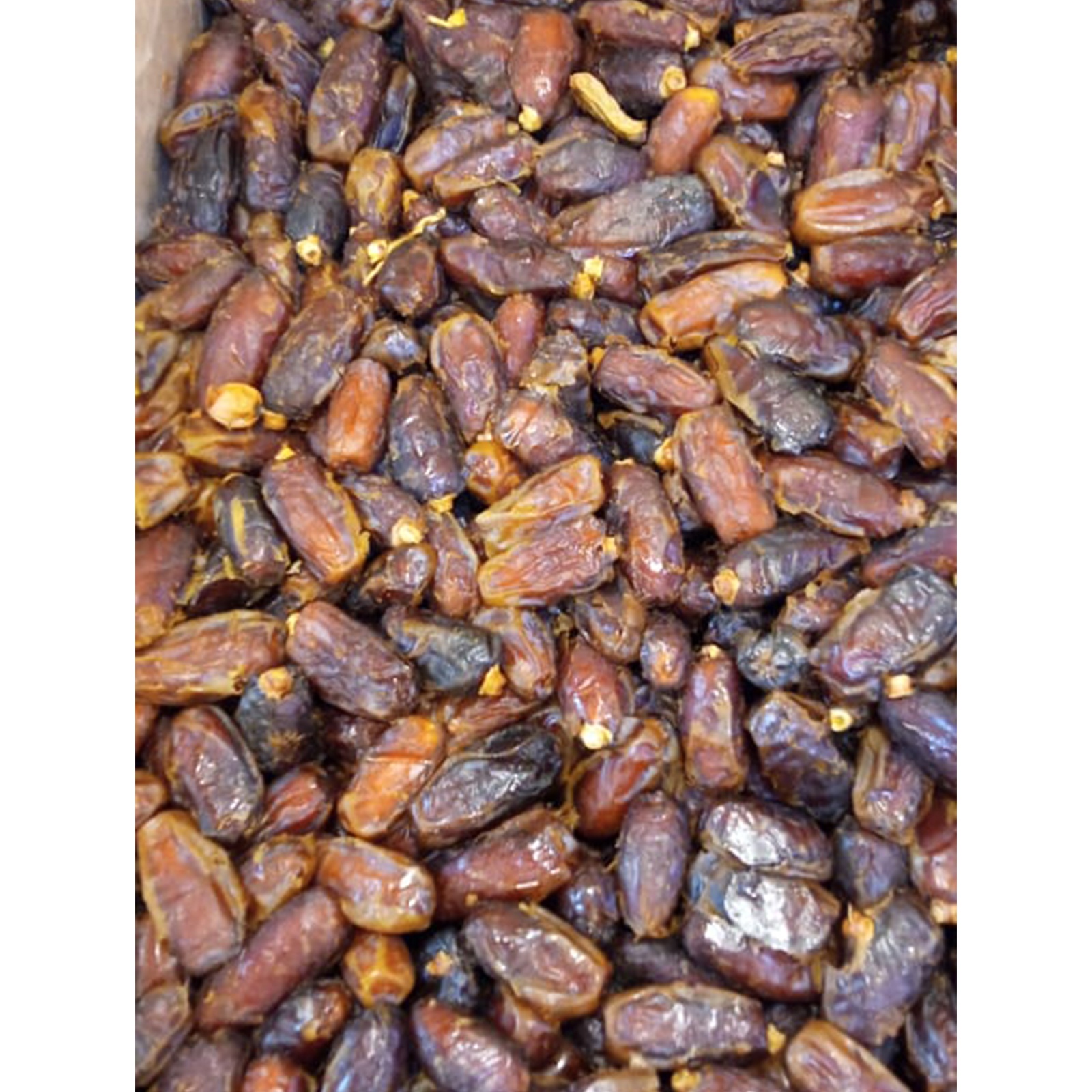 Barni Dates ( Khejur) for wholesale Price