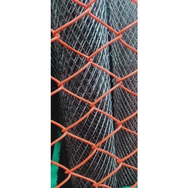 12 Wire PVC Coated net 2 inch gap