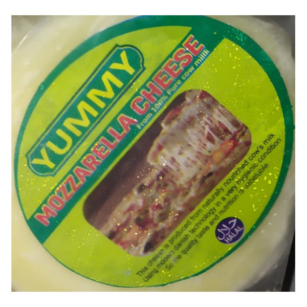 Yummy mozzarelia cheese