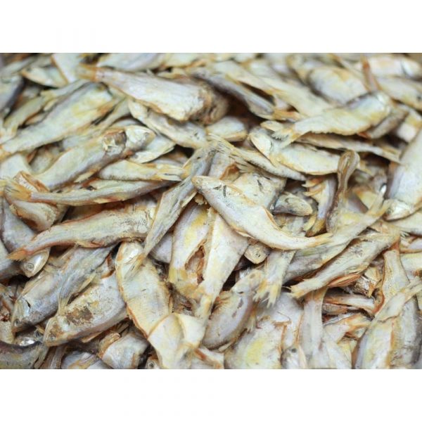 Dried Faisha(Banchpata)/Broad Mouthed Mullet - High quality and fresh for Export
