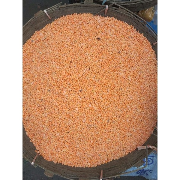 Good quality fresh imported lentil(মসুর ডাল)