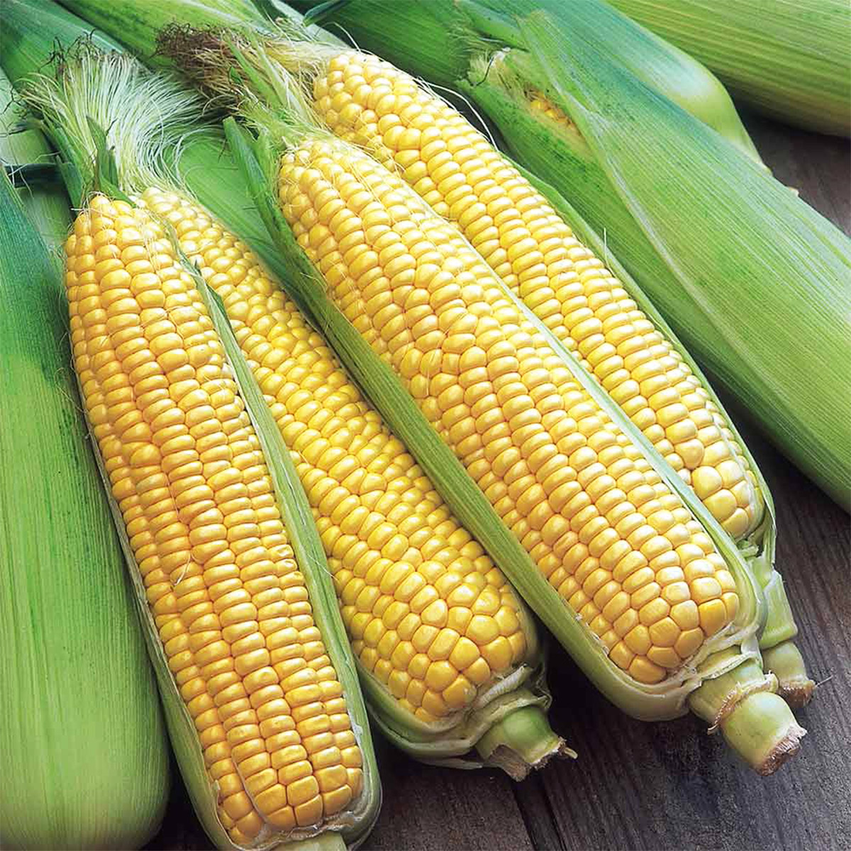 Export Quality Chemical & Dust free fully fresh CORN