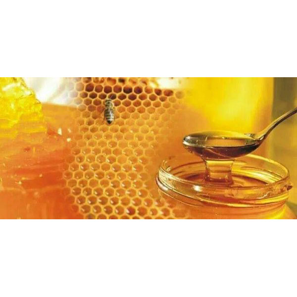 Original Sundarban honey (সুন্দরববনের মধু )