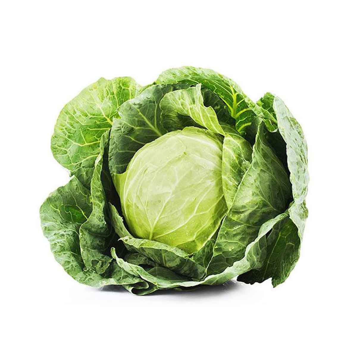 Cabbage-Fresh, Seasonal & Export Quality