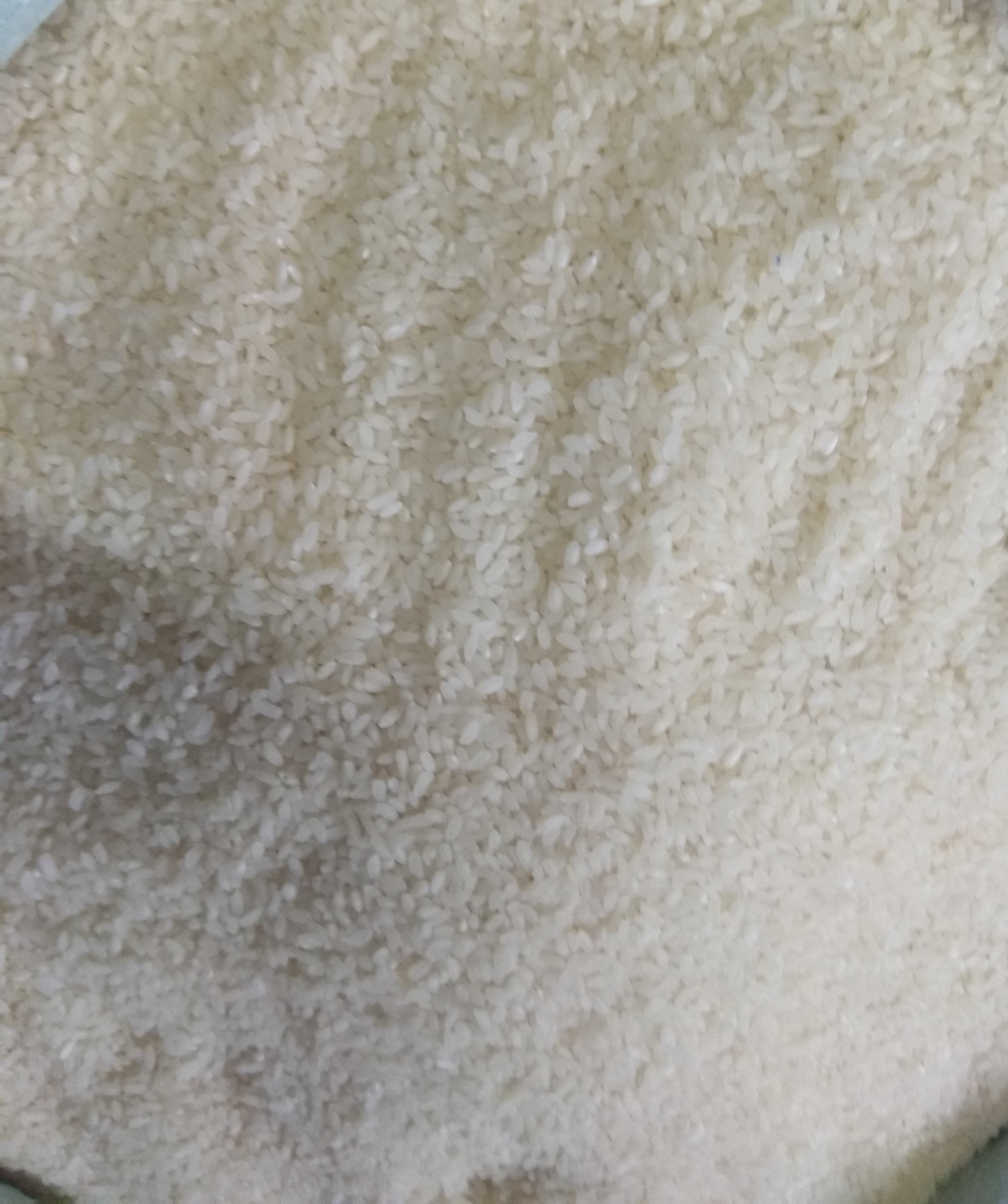 Katharivog chal ‡¶ï‡¶æ‡¶†‡¶æ‡¶∞‡ßÄ‡¶≠‡ßã‡¶ó ‡¶ö‡¶æ‡¶≤