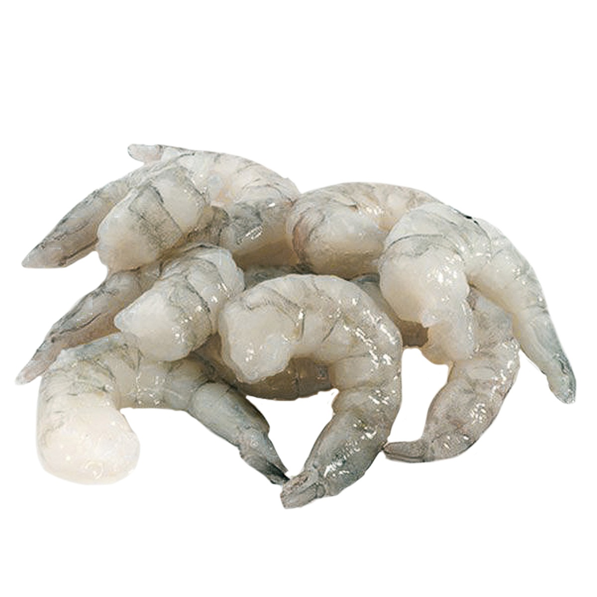 HIGH QUALITY FROZEN SHRIMP FOR EXPORT
